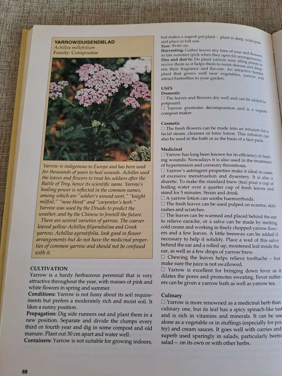 A-Z of Herbs - Margaret Roberts