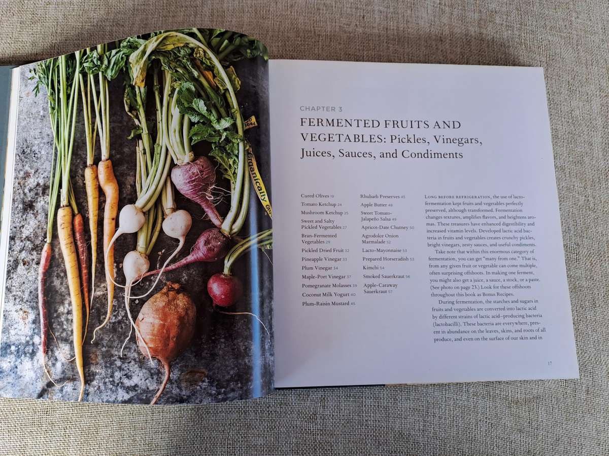 Mastering Fermentation - Mary Karlin