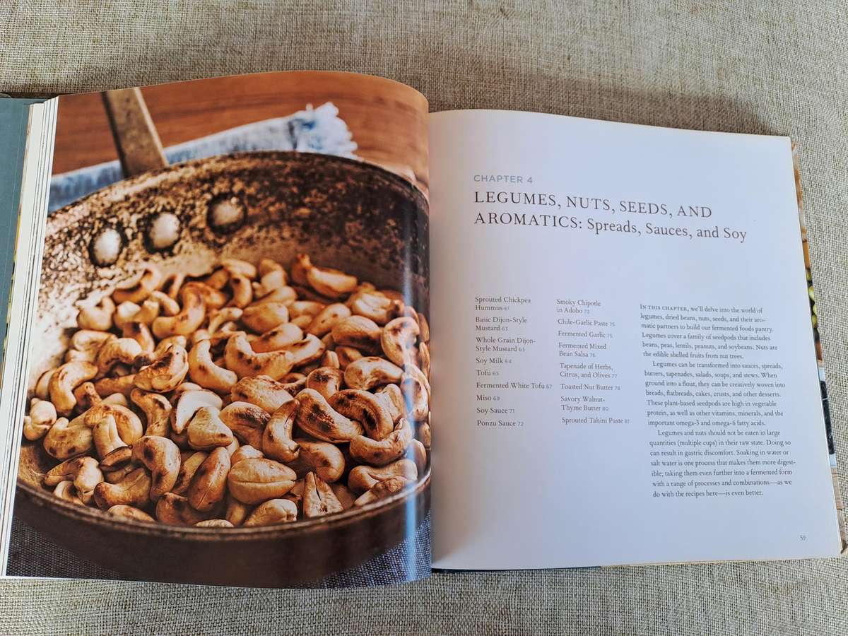 Mastering Fermentation - Mary Karlin