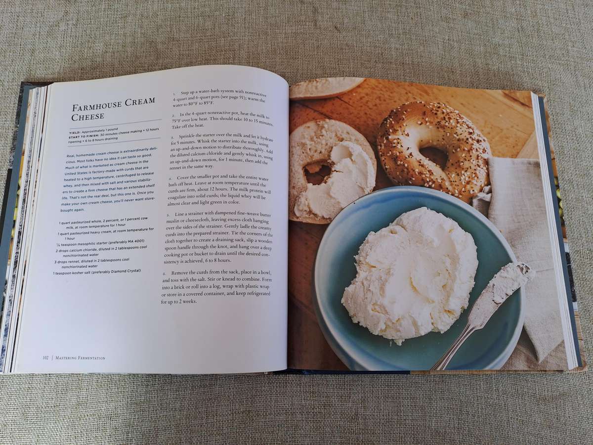 Mastering Fermentation - Mary Karlin