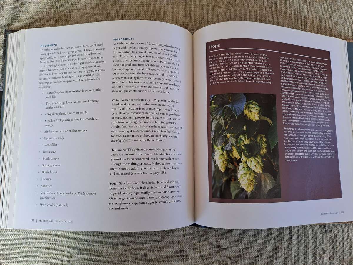 Mastering Fermentation - Mary Karlin