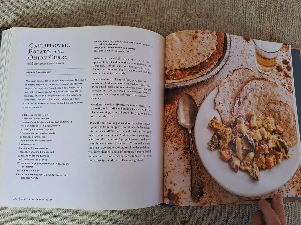 Mastering Fermentation - Mary Karlin