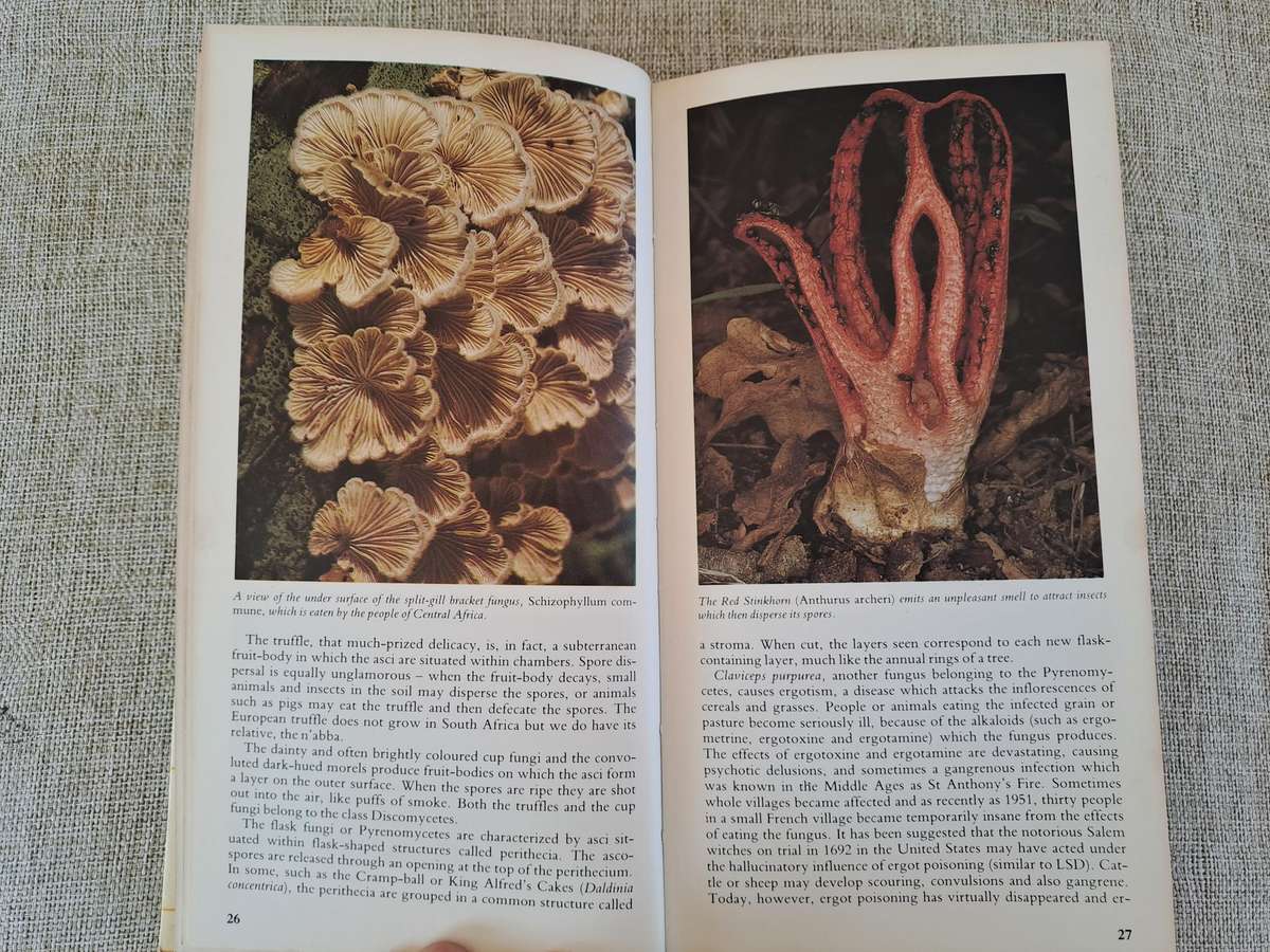 A Field Guide to the Mushrooms of South Africa  2nd Edition