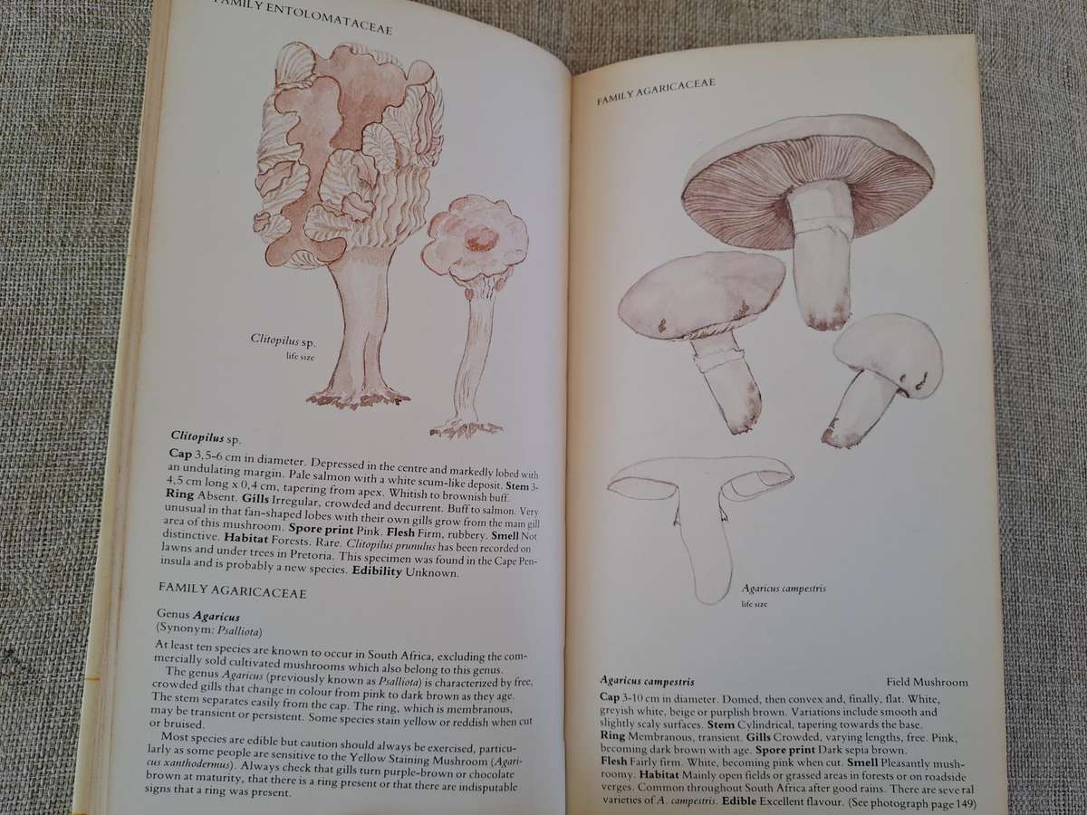 A Field Guide to the Mushrooms of South Africa  2nd Edition