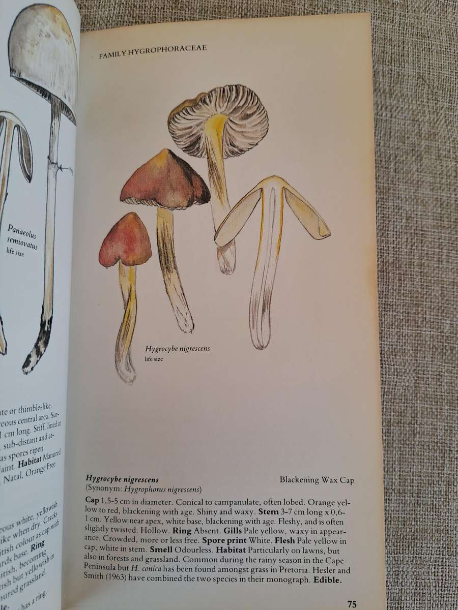 A Field Guide to the Mushrooms of South Africa  2nd Edition
