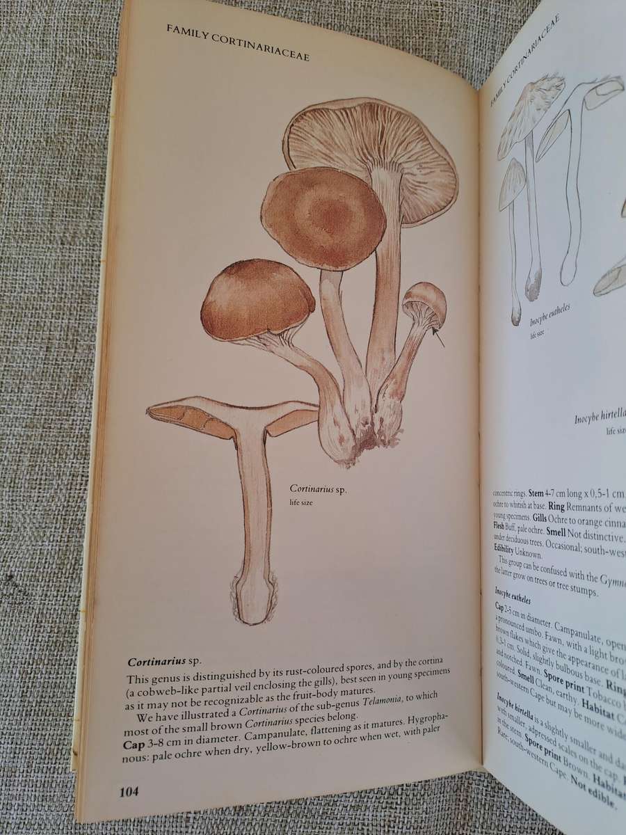 A Field Guide to the Mushrooms of South Africa  2nd Edition