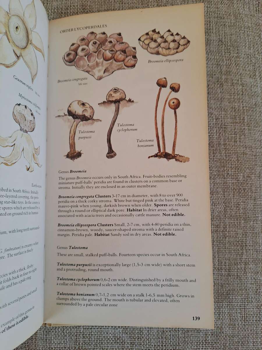 A Field Guide to the Mushrooms of South Africa  2nd Edition