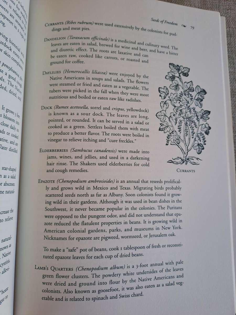 Mother Nature's Herbal