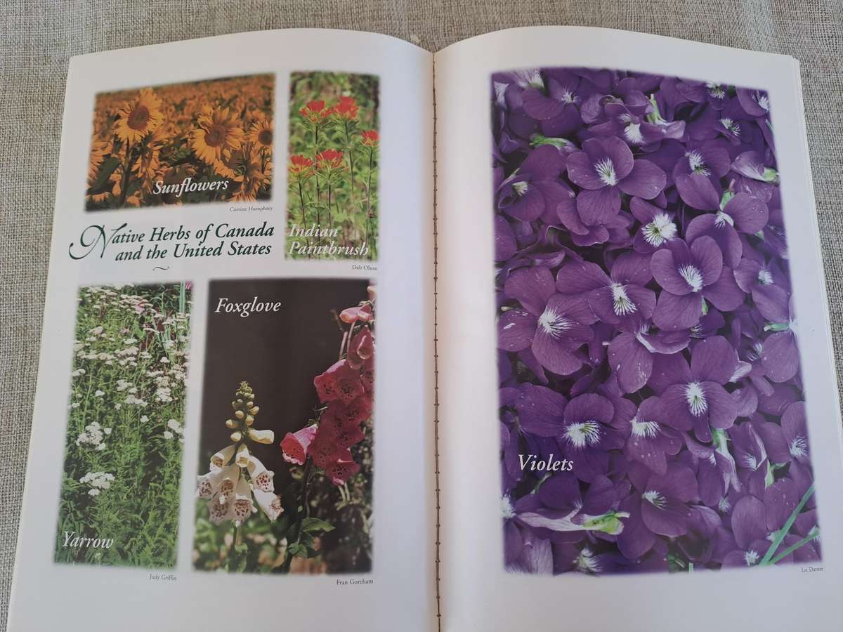 Mother Nature's Herbal