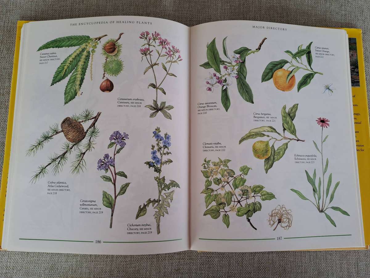 The Encyclopedia of Healing Plants  A guide to Aromatherapy, Flower Essences & Herbal Remedies
