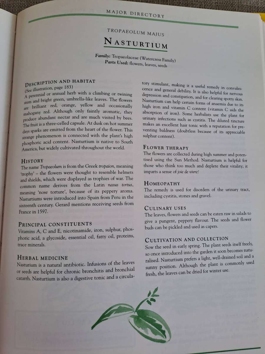 The Encyclopedia of Healing Plants  A guide to Aromatherapy, Flower Essences & Herbal Remedies