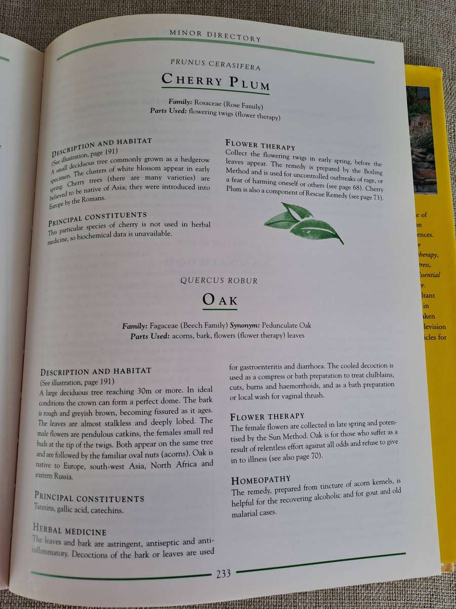 The Encyclopedia of Healing Plants  A guide to Aromatherapy, Flower Essences & Herbal Remedies