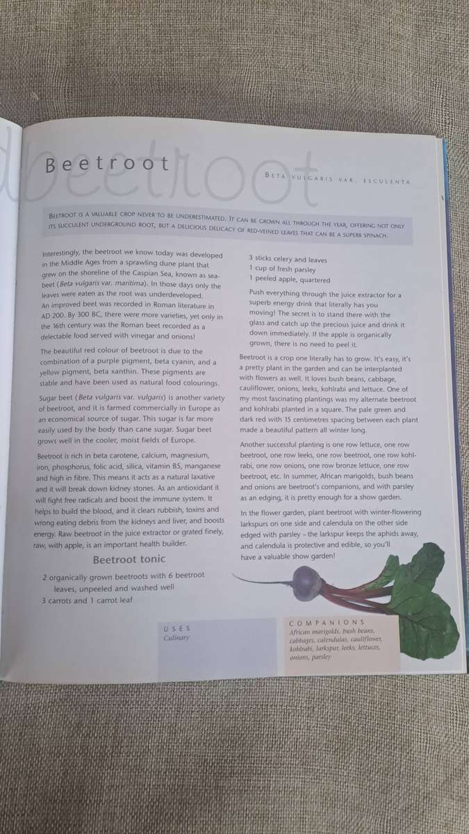 Companion Planting - Margaret Roberts