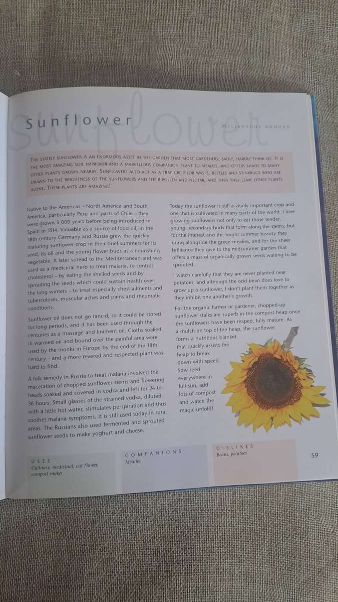 Companion Planting - Margaret Roberts