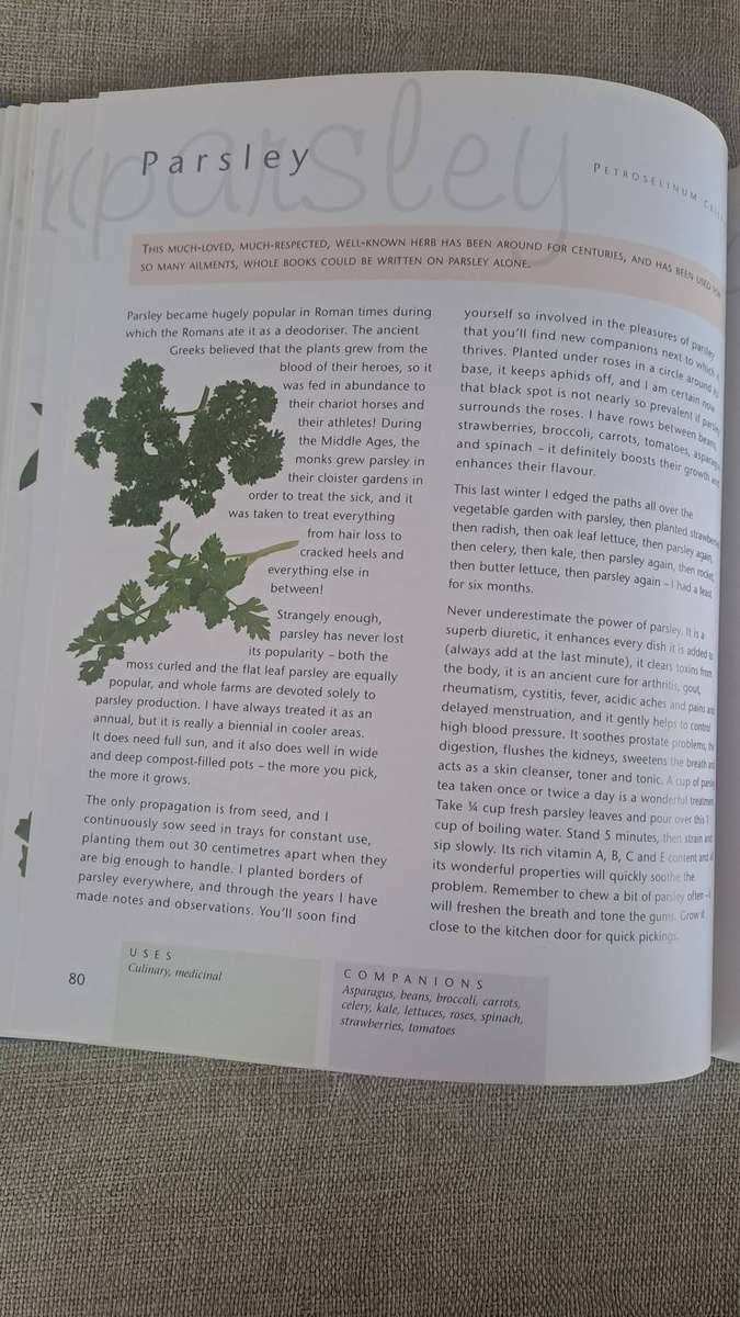 Companion Planting - Margaret Roberts