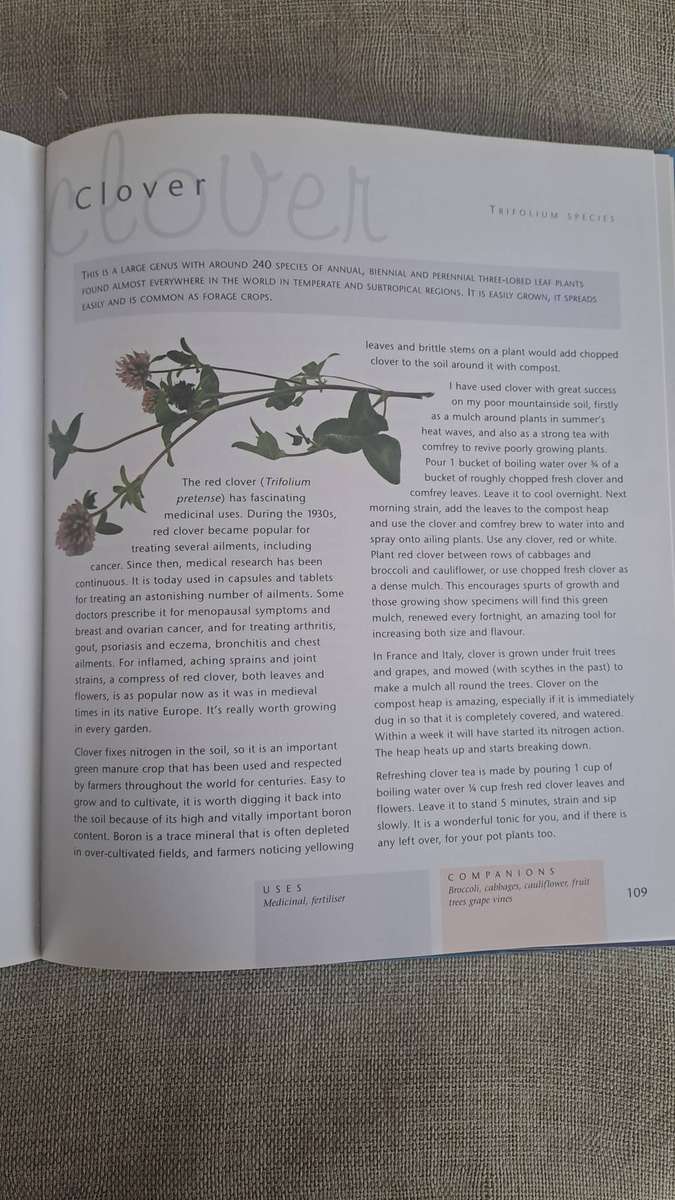 Companion Planting - Margaret Roberts