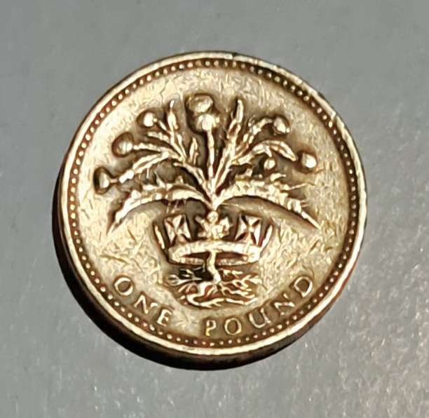 One Pound  Coin 1989 Queen Elizabeth .