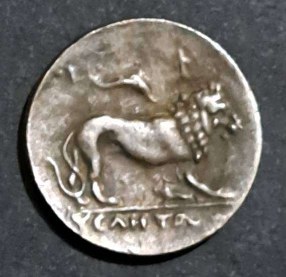 Ancient Greek Mythology Athena Lion Wisdom Coin