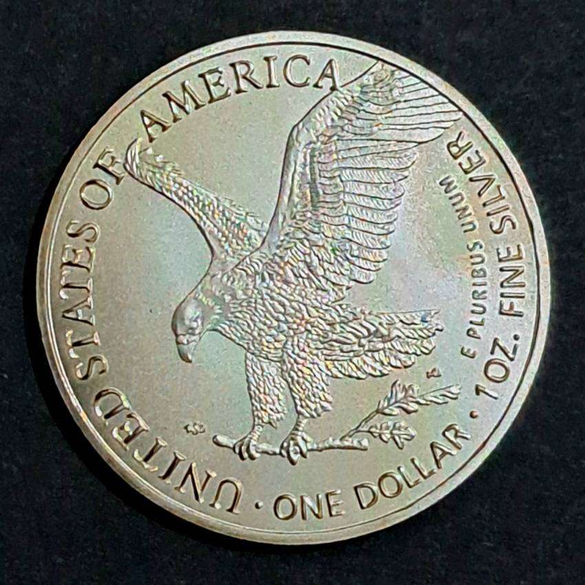 Walking Library Eagle Emblem  USA-1oz One Dollar Commemaritive Coin 2025 New in Capsule." coin1