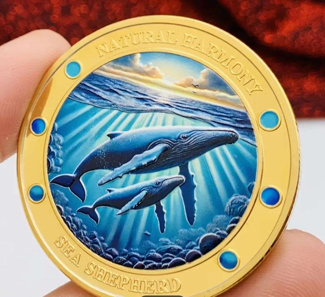 Gold Plated Dolphin Theme Protecting The Ocean Coin. New in Capsule