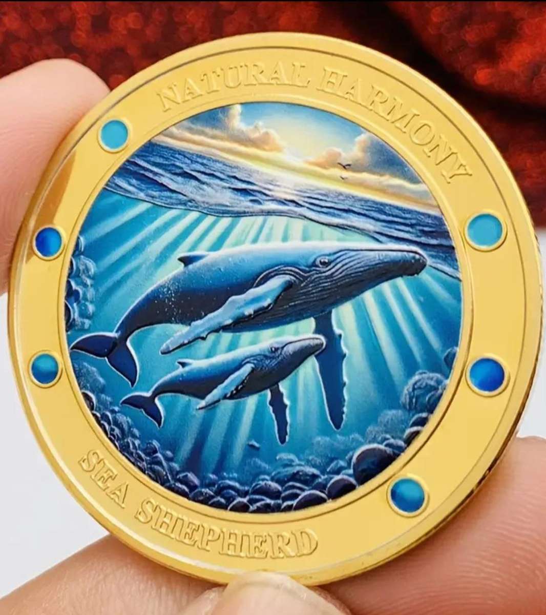 Gold Plated Dolphin Theme Protecting The Ocean Coin. New in Capsule