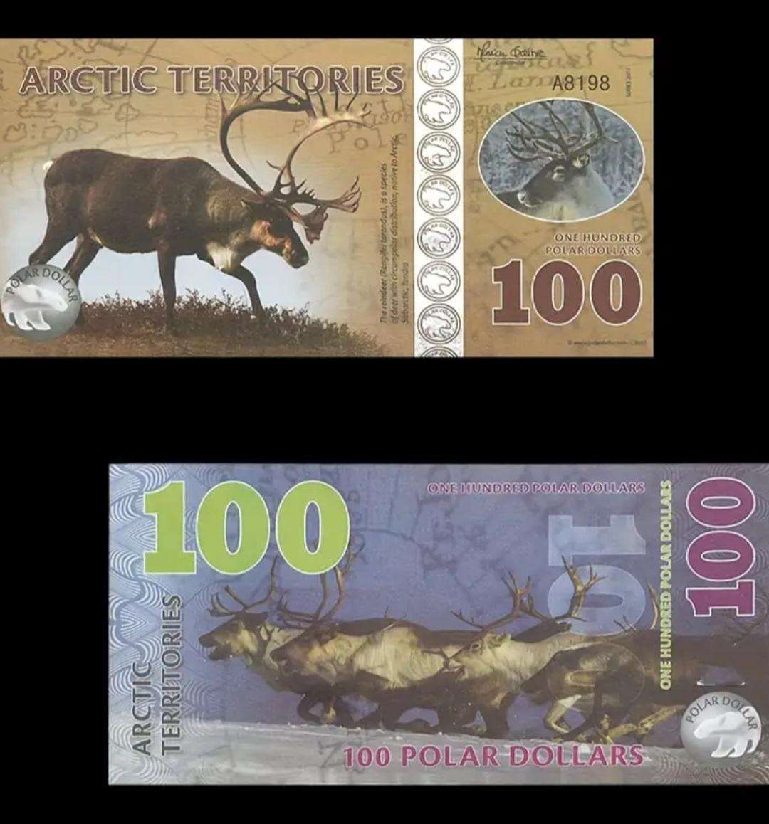 14pcs Arctic Wildlife Paper Money Set,Animal Designs "Excellent" New