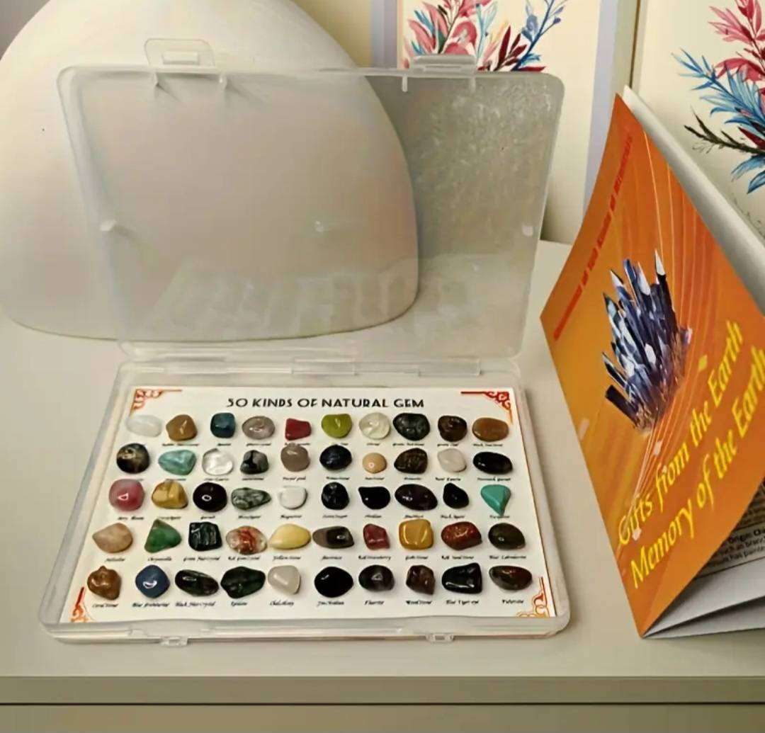 50 Minerals Specimens & 100 Page Rock Collection Featuring Crystals, Agate, Fluoride, Tiger's eye