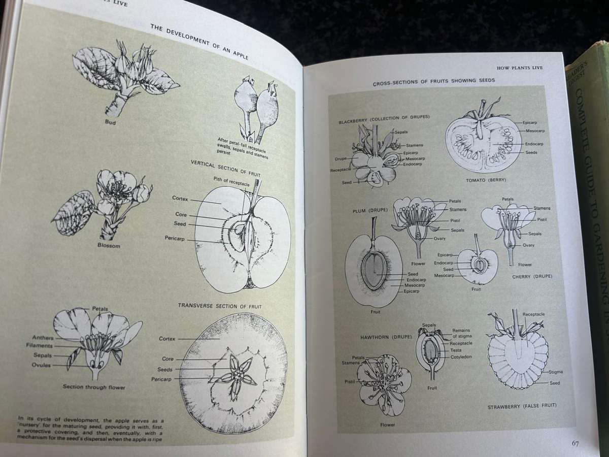 Reader's Digest - Complete Guide to Gardening in South Africa Vol. 1 & 2