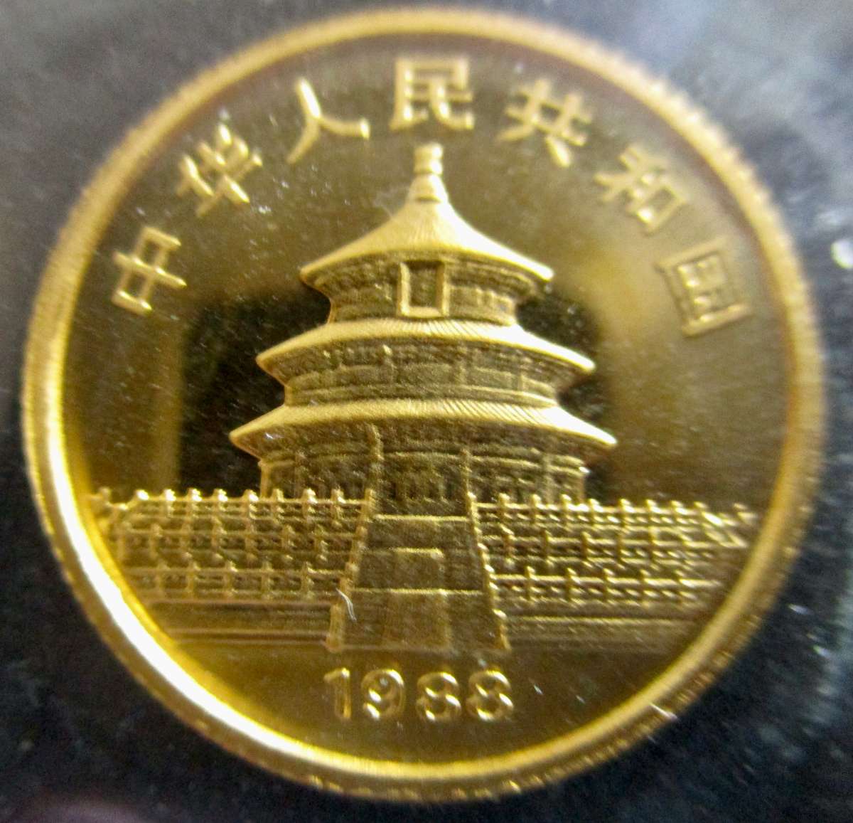 SOLID 24K GOLD PANDA COIN 1/10 OUNCE RARE 1988 SEALED!