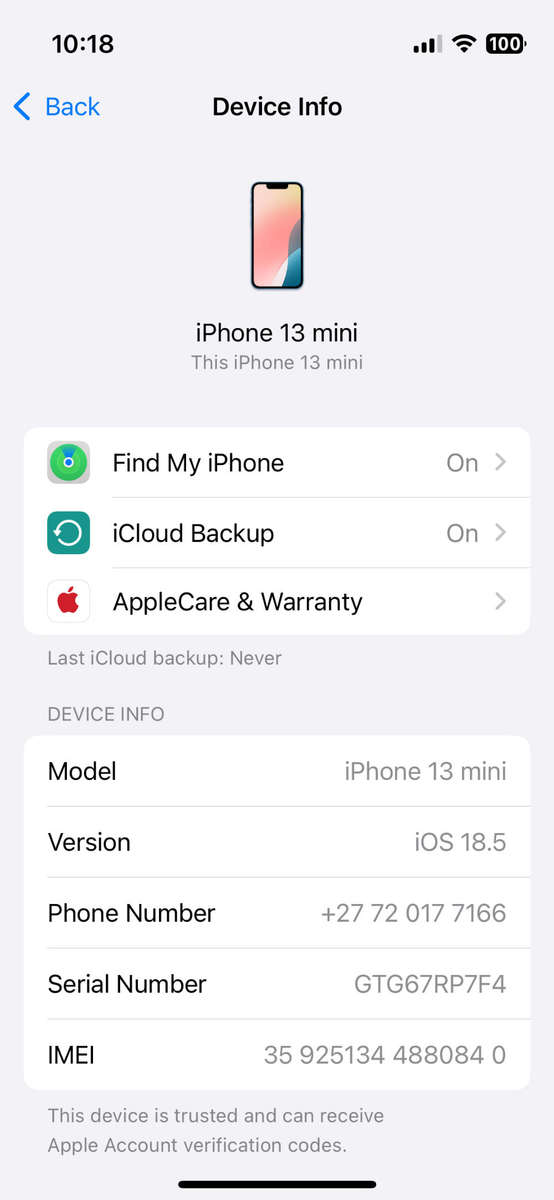 iPhone 13 mini 256GB (100% Battery Health)