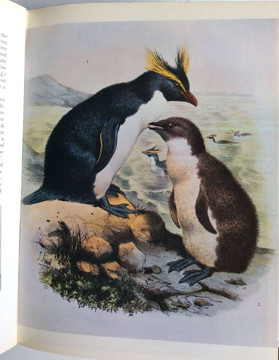 'The Voyage of the Challenger' by Eric Linklater