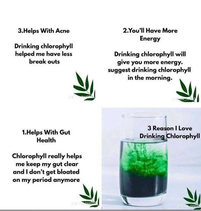 Liquid Chlorophyll Juice (True Organics)