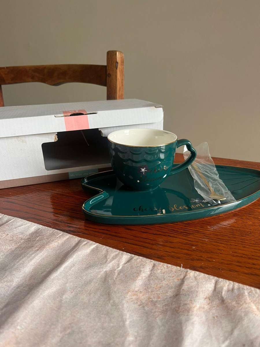 Modern Ceramic Cup & Saucer Set with Gold Teaspoon  Never Used