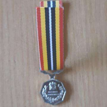 Southern Africa Medal - Miniature