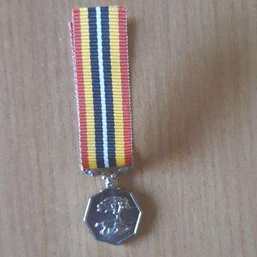 Southern Africa Medal - Miniature