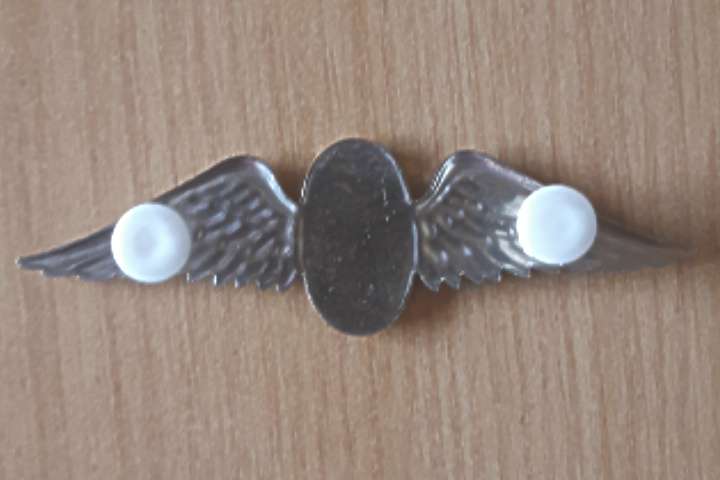 S.A Parachute Staticline Instructor Wing - Full Size - Two Pins In Place