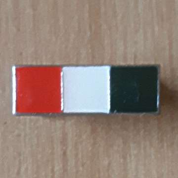 S.A Intelligence Corps Beret Bar With Both Pins In Place - One Pin Replace
