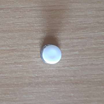 SWA Lapel Badges With Pin In Place