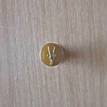 SWA Lapel Badges With Pin In Place