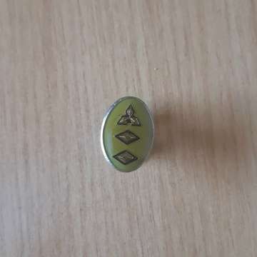 SWA Lapel Pin With One Pin