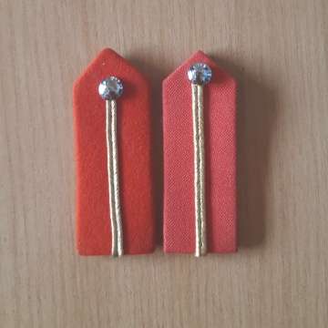 Army Senior Officers  Staff Qualified Gorget Pathces - Pair