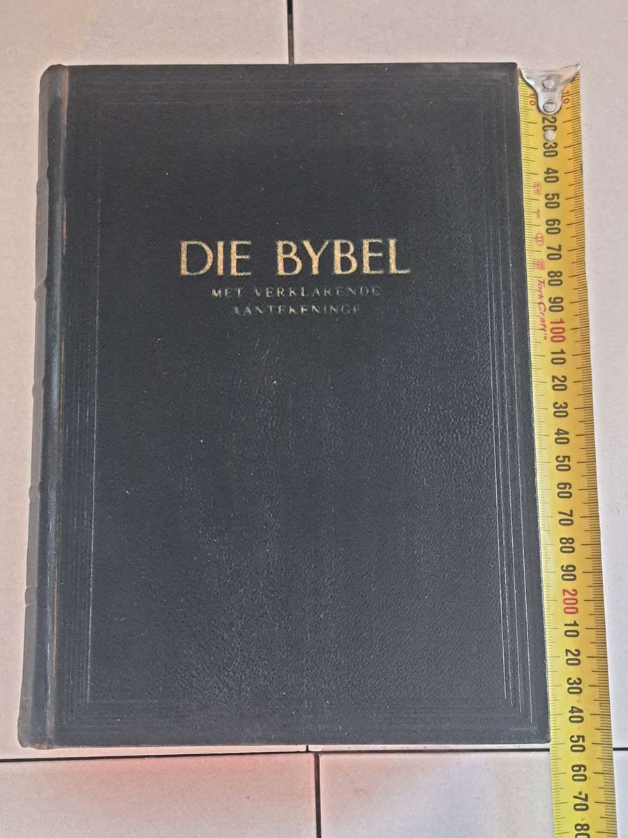 BIBLE  - IMACULATE CONDITION