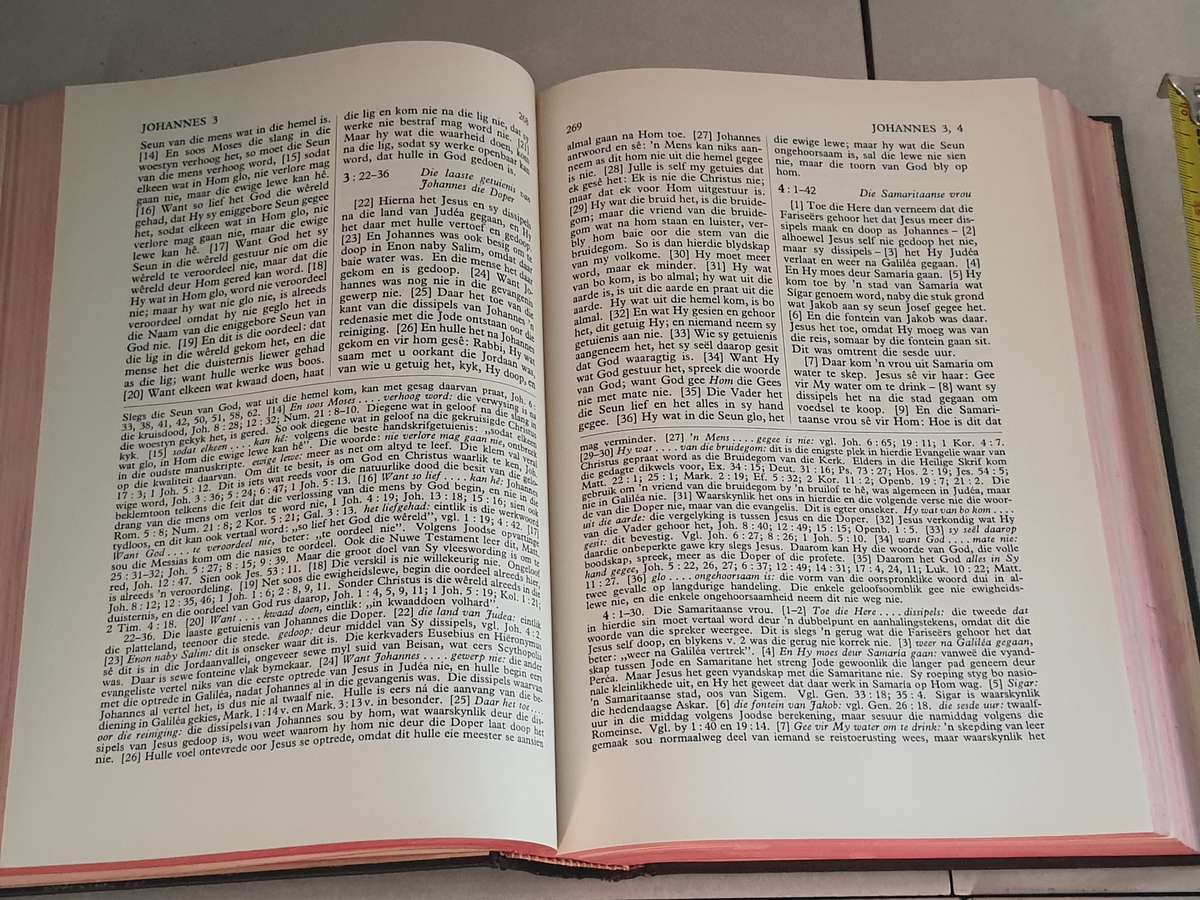 BIBLE  - IMACULATE CONDITION