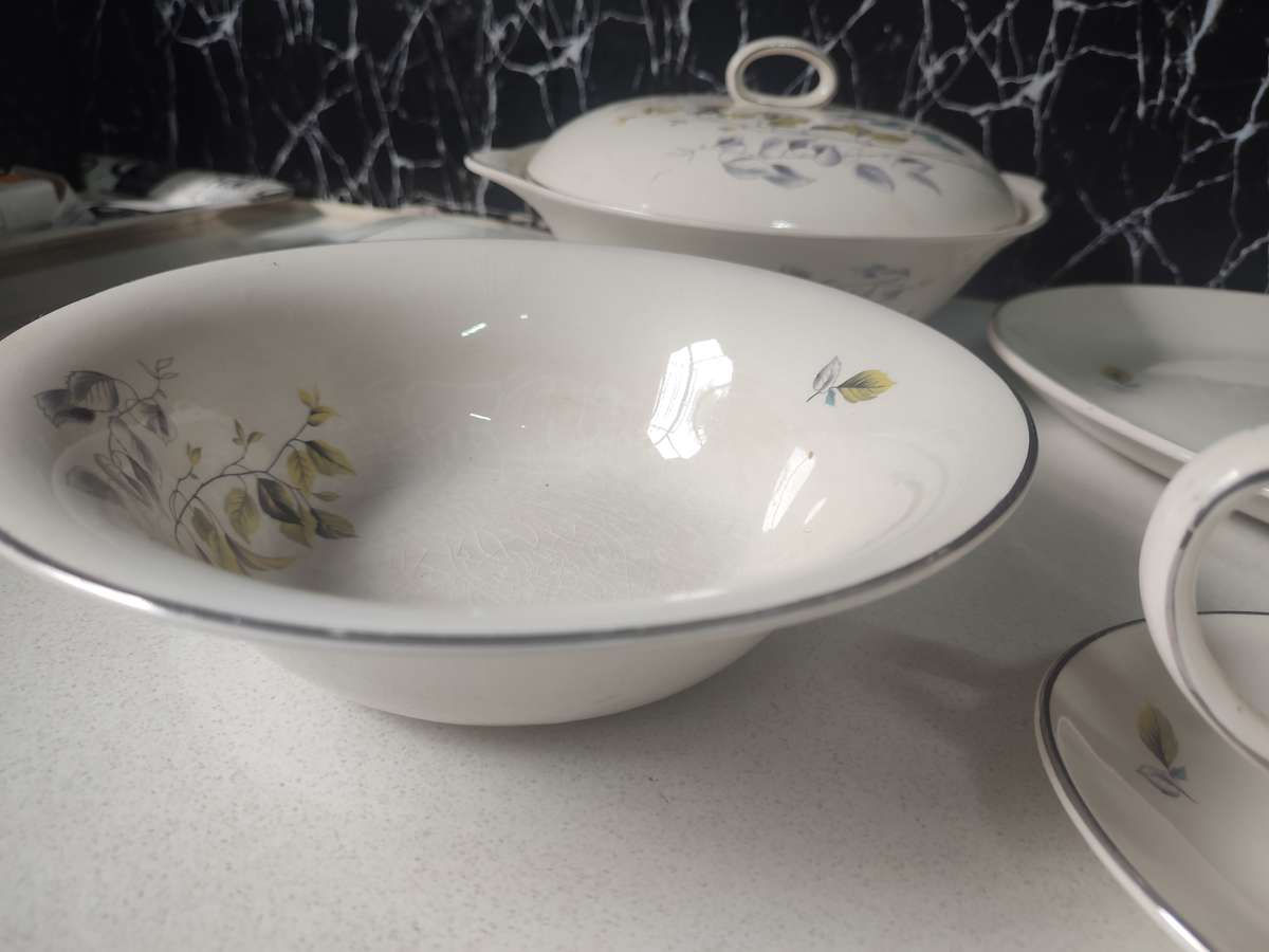 #4 BAVARIA IVORY PORCELAIN DINNERWARE SET