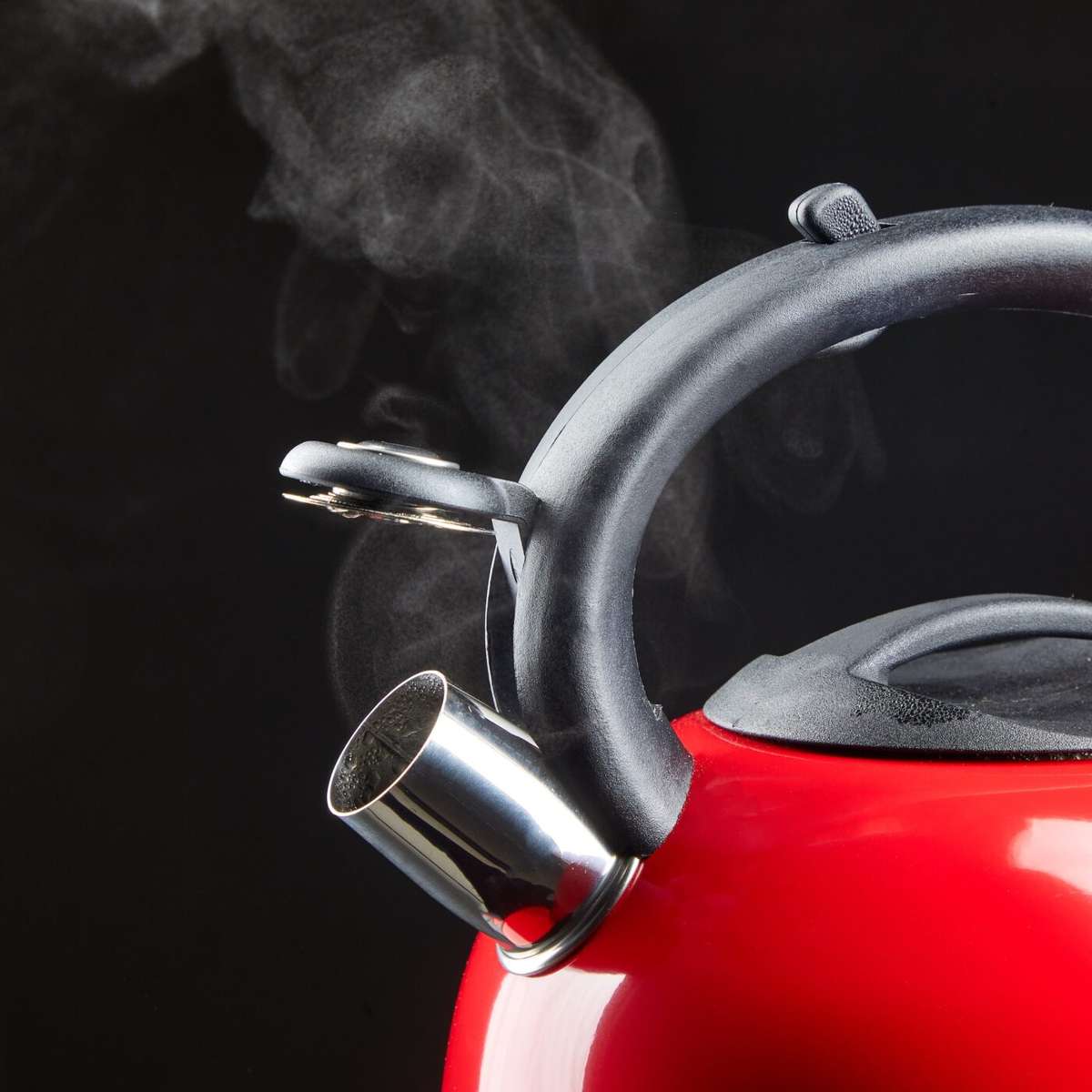 3L Alliance Gas / Stove Top Kettle