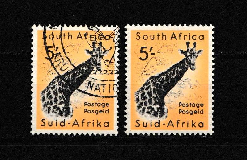 UNION GIRAFFE DEFINITIVE