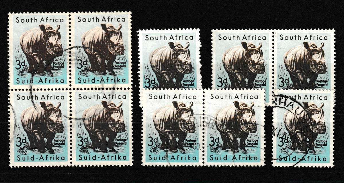 UNION WHITE RHINO DEFINITIVE