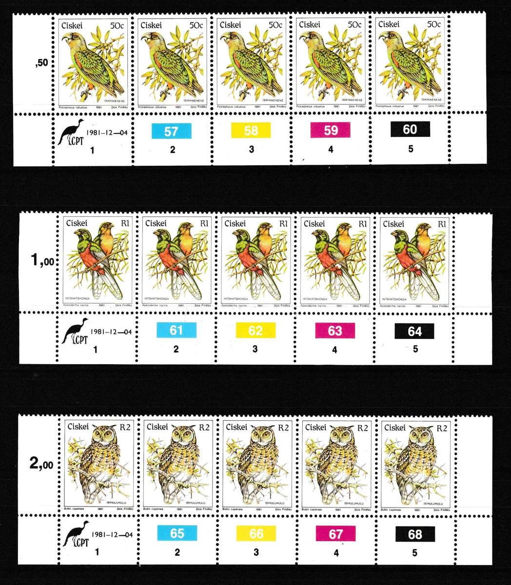 CISKEI 1981 DEF. CONTROLS SET