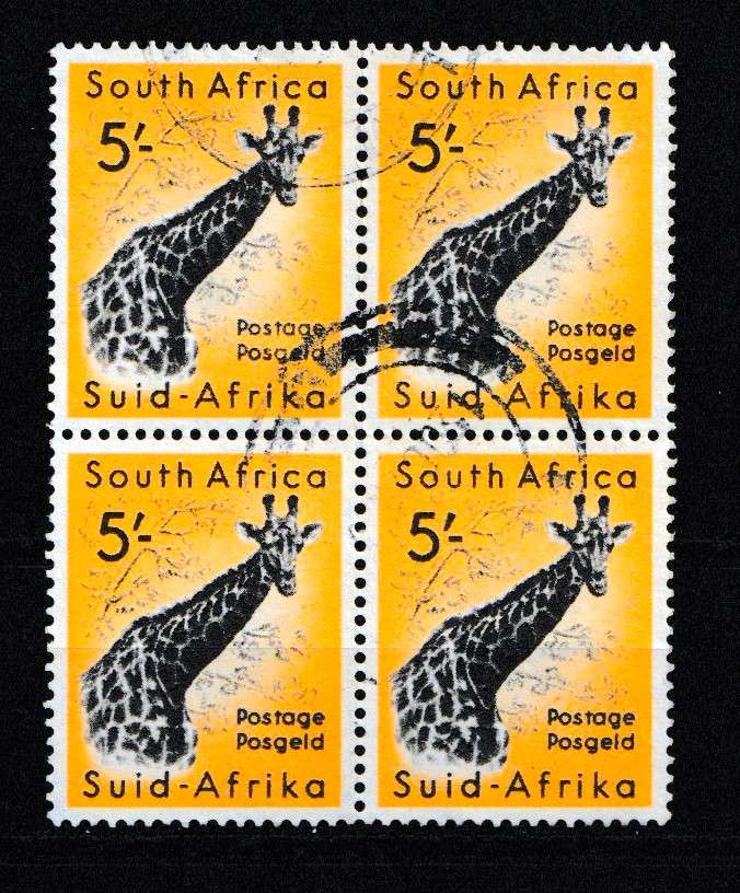 UNION GIRAFFE DEFINITIVE