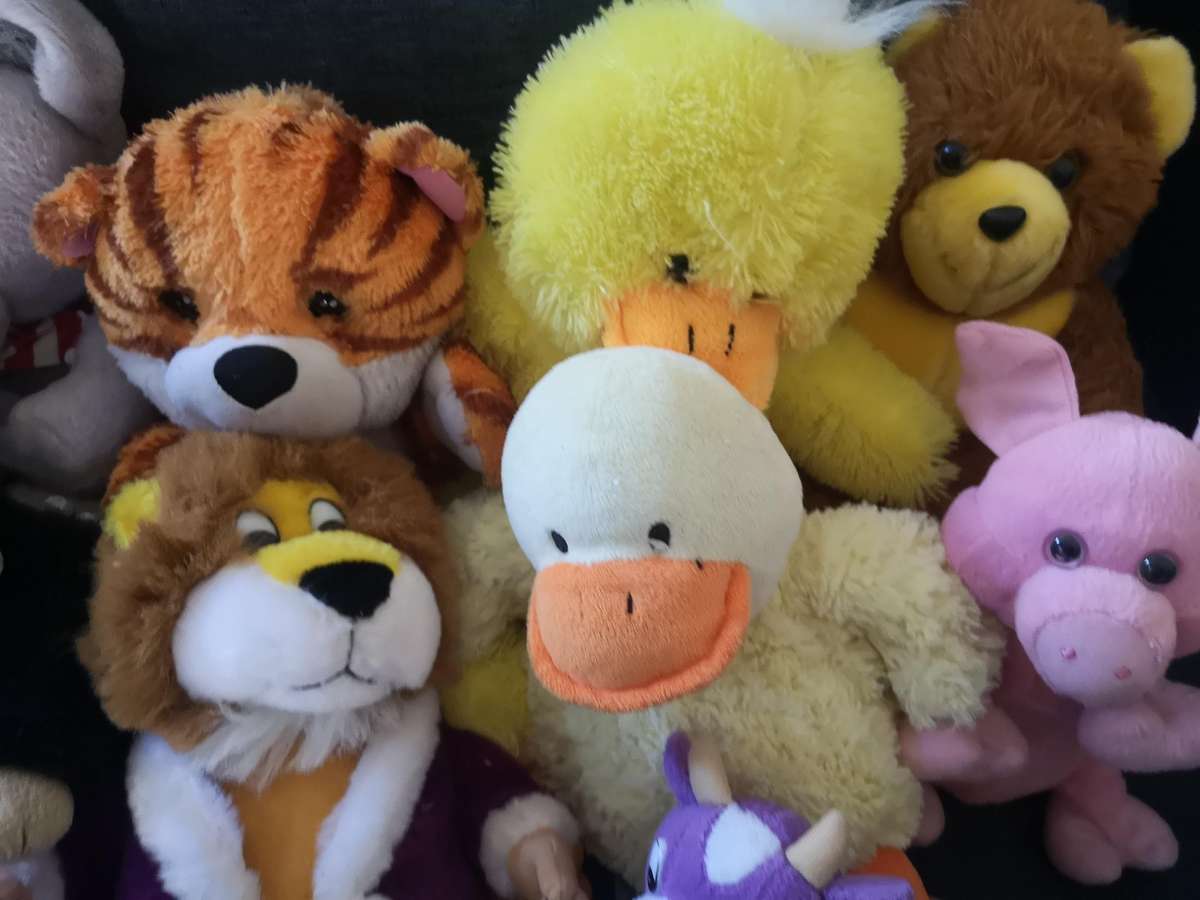 Mixed Stuffed Toy Lot